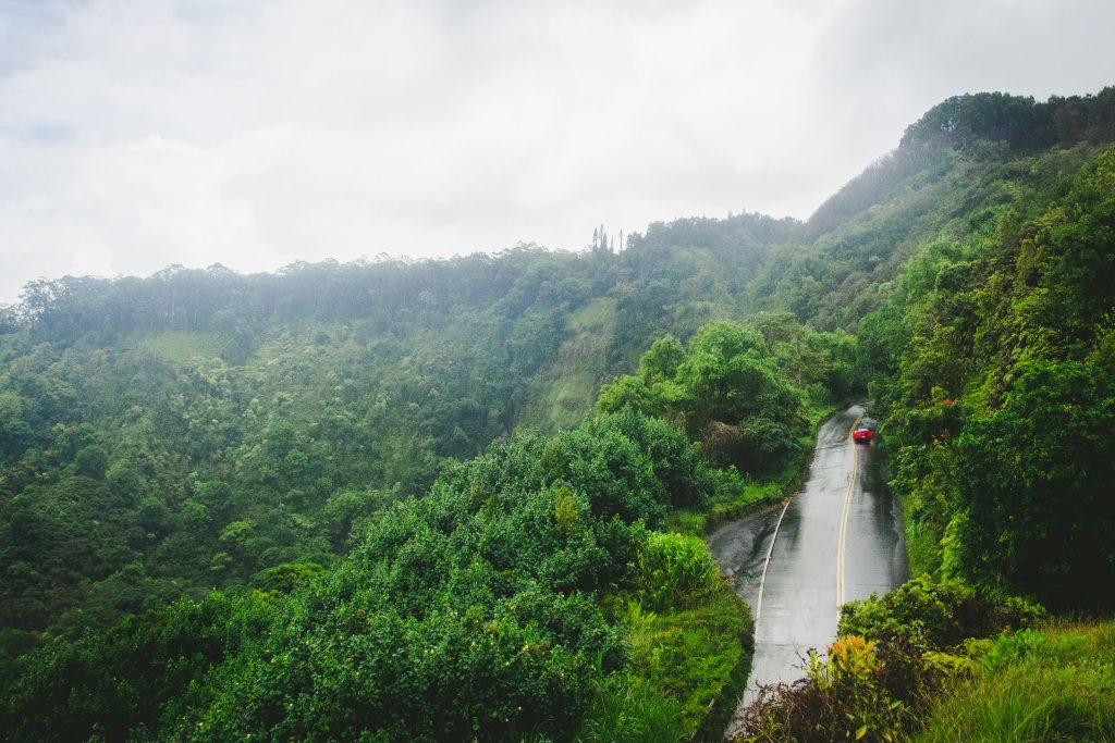 hawaii honeymoon
